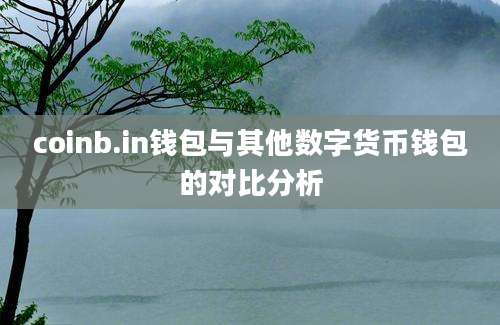 coinb.in钱包与其他数字货币钱包的对比分析