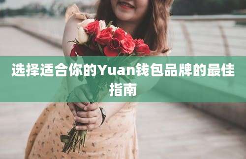 选择适合你的Yuan钱包品牌的最佳指南