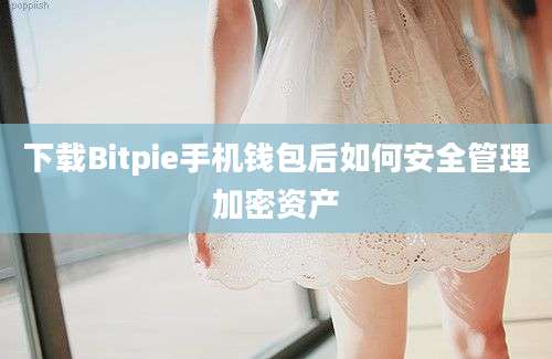 下载Bitpie手机钱包后如何安全管理加密资产