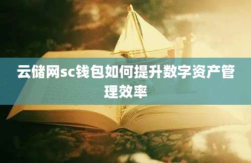 云储网sc钱包如何提升数字资产管理效率