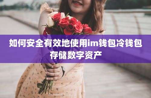 如何安全有效地使用im钱包冷钱包存储数字资产