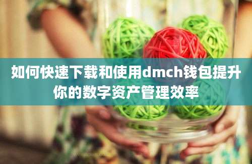 如何快速下载和使用dmch钱包提升你的数字资产管理效率