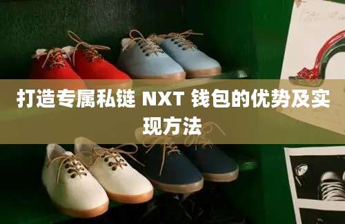 打造专属私链 NXT 钱包的优势及实现方法