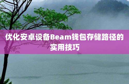 优化安卓设备Beam钱包存储路径的实用技巧