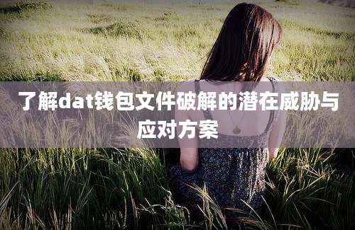 了解dat钱包文件破解的潜在威胁与应对方案