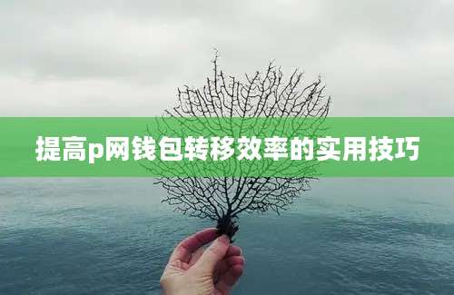 提高p网钱包转移效率的实用技巧