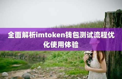 全面解析imtoken钱包测试流程优化使用体验