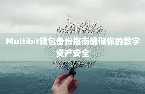 Multibit钱包备份指南确保你的数字资产安全