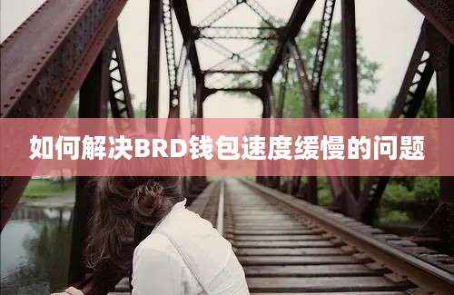 如何解决BRD钱包速度缓慢的问题