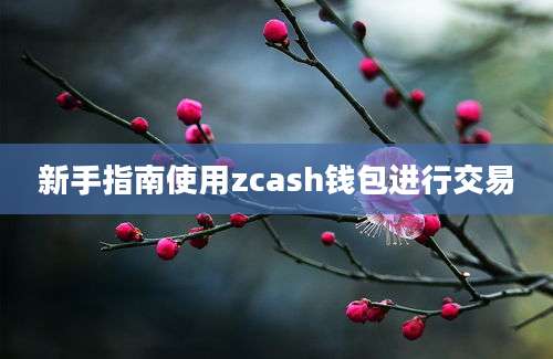 新手指南使用zcash钱包进行交易