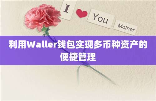 利用Waller钱包实现多币种资产的便捷管理