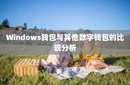 Windows钱包与其他数字钱包的比较分析