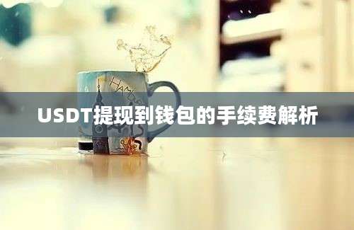 USDT提现到钱包的手续费解析