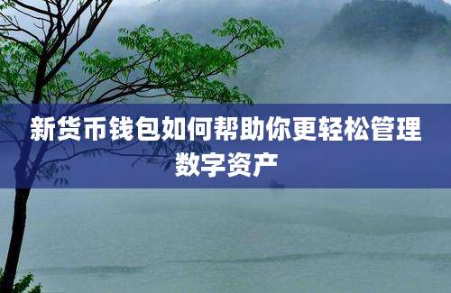 新货币钱包如何帮助你更轻松管理数字资产