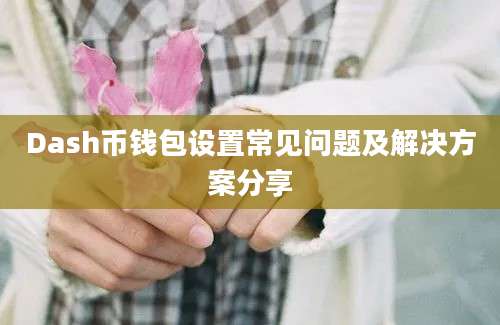 Dash币钱包设置常见问题及解决方案分享