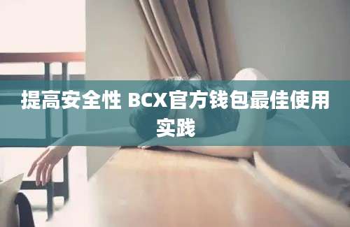 提高安全性 BCX官方钱包最佳使用实践