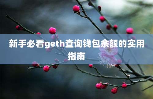 新手必看geth查询钱包余额的实用指南