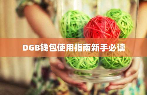 DGB钱包使用指南新手必读