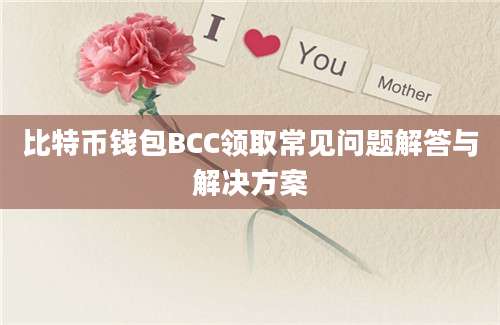 比特币钱包BCC领取常见问题解答与解决方案