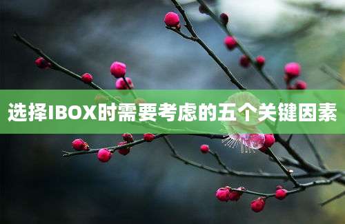 选择IBOX时需要考虑的五个关键因素