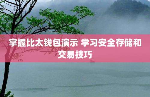 掌握比太钱包演示 学习安全存储和交易技巧