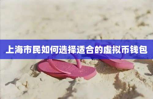 上海市民如何选择适合的虚拟币钱包