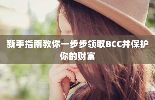 新手指南教你一步步领取BCC并保护你的财富