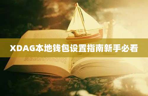 XDAG本地钱包设置指南新手必看