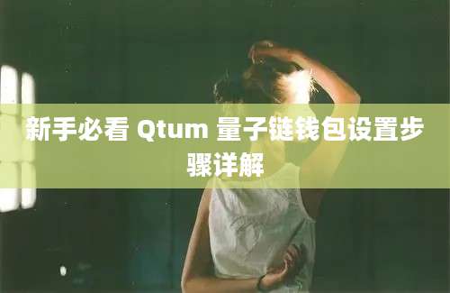 新手必看 Qtum 量子链钱包设置步骤详解