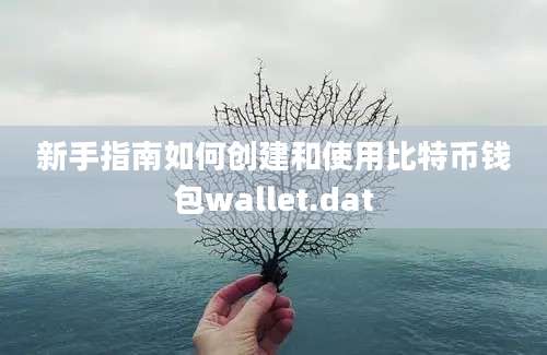 新手指南如何创建和使用比特币钱包wallet.dat