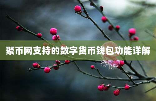 聚币网支持的数字货币钱包功能详解