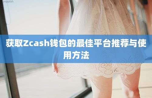 获取Zcash钱包的最佳平台推荐与使用方法