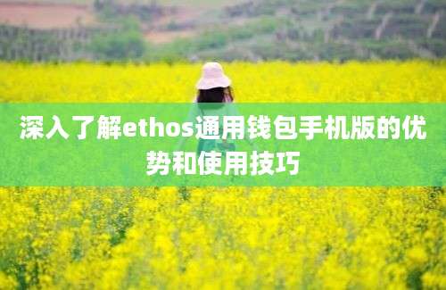 深入了解ethos通用钱包手机版的优势和使用技巧