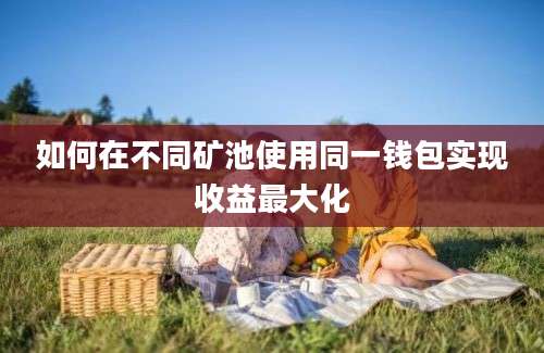 如何在不同矿池使用同一钱包实现收益最大化