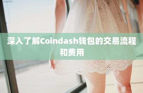 深入了解Coindash钱包的交易流程和费用