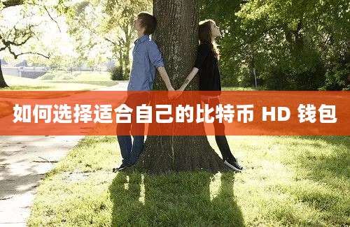 如何选择适合自己的比特币 HD 钱包