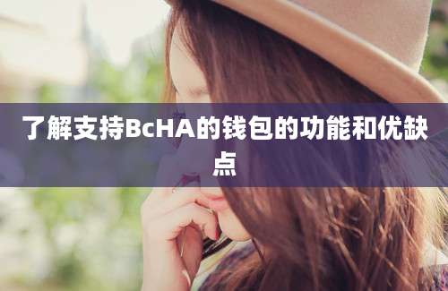 了解支持BcHA的钱包的功能和优缺点