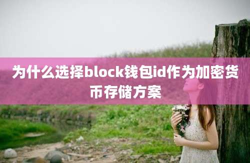 为什么选择block钱包id作为加密货币存储方案