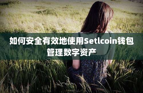 如何安全有效地使用Setlcoin钱包管理数字资产