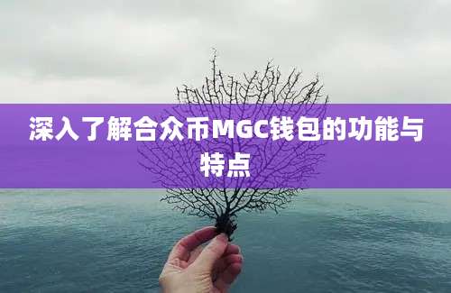 深入了解合众币MGC钱包的功能与特点