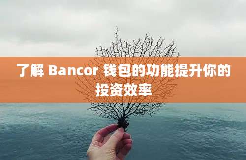 了解 Bancor 钱包的功能提升你的投资效率