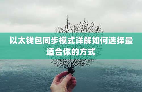 以太钱包同步模式详解如何选择最适合你的方式