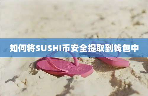 如何将SUSHI币安全提取到钱包中