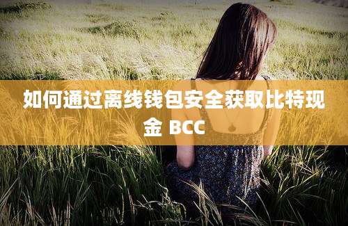 如何通过离线钱包安全获取比特现金 BCC