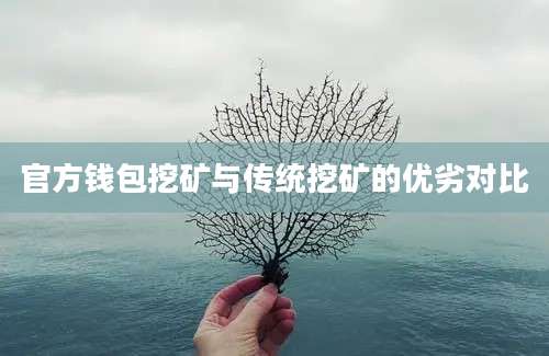 官方钱包挖矿与传统挖矿的优劣对比