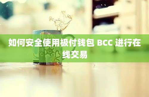 如何安全使用极付钱包 BCC 进行在线交易