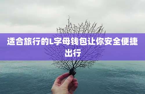 适合旅行的L字母钱包让你安全便捷出行