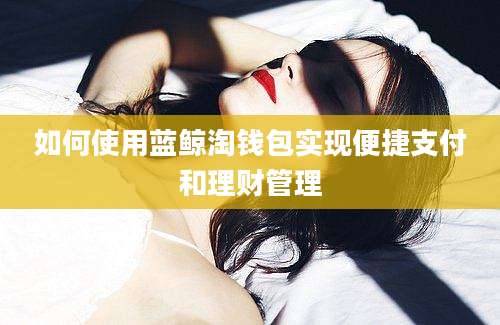 如何使用蓝鲸淘钱包实现便捷支付和理财管理