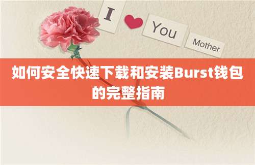 如何安全快速下载和安装Burst钱包的完整指南