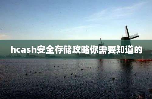 hcash安全存储攻略你需要知道的